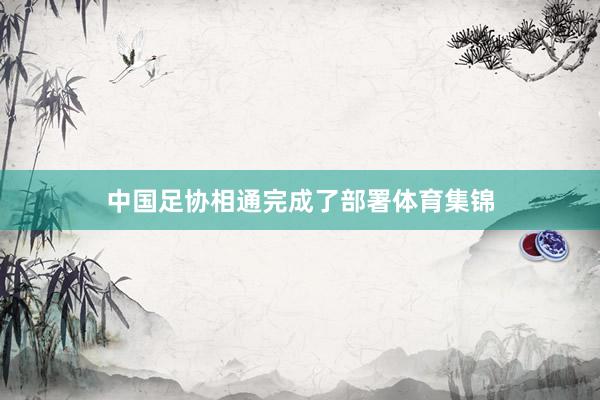 中国足协相通完成了部署体育集锦
