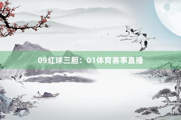 09　　红球三胆：01体育赛事直播