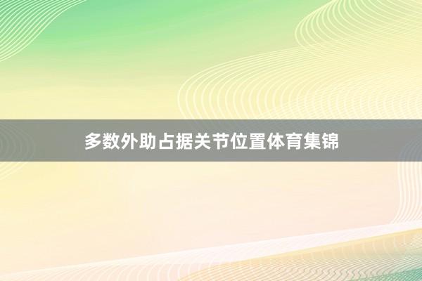 多数外助占据关节位置体育集锦