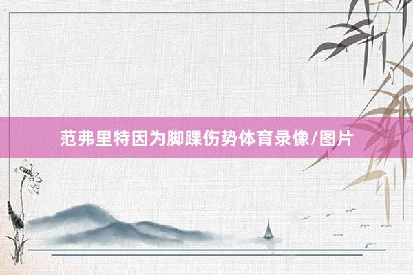 范弗里特因为脚踝伤势体育录像/图片