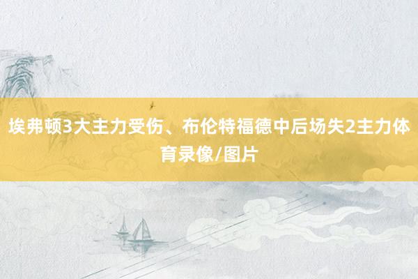 埃弗顿3大主力受伤、布伦特福德中后场失2主力体育录像/图片