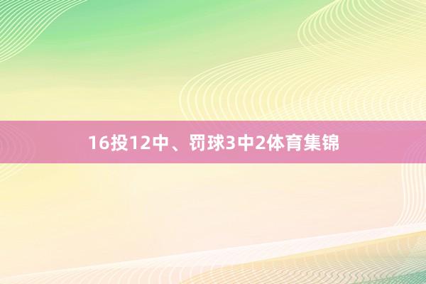 16投12中、罚球3中2体育集锦