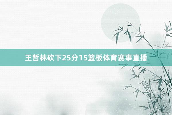 王哲林砍下25分15篮板体育赛事直播