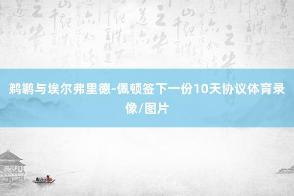 鹈鹕与埃尔弗里德-佩顿签下一份10天协议体育录像/图片