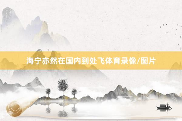 海宁亦然在国内到处飞体育录像/图片