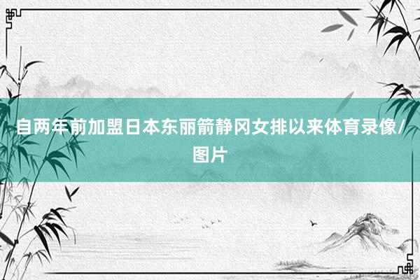 自两年前加盟日本东丽箭静冈女排以来体育录像/图片