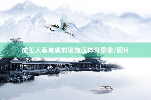 成王人蓉城就前场施压体育录像/图片