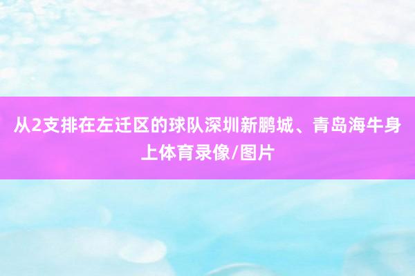 从2支排在左迁区的球队深圳新鹏城、青岛海牛身上体育录像/图片