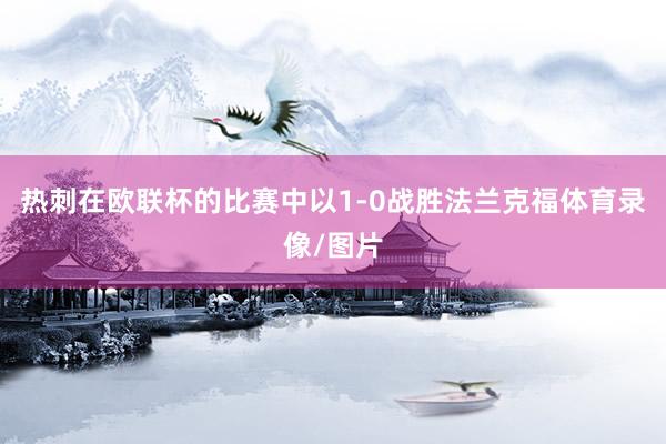 热刺在欧联杯的比赛中以1-0战胜法兰克福体育录像/图片