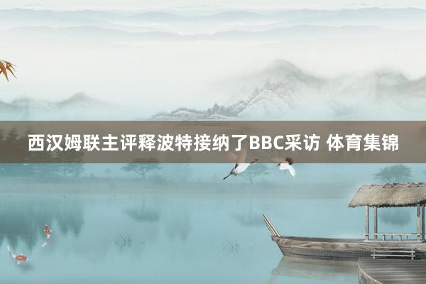 西汉姆联主评释波特接纳了BBC采访 体育集锦