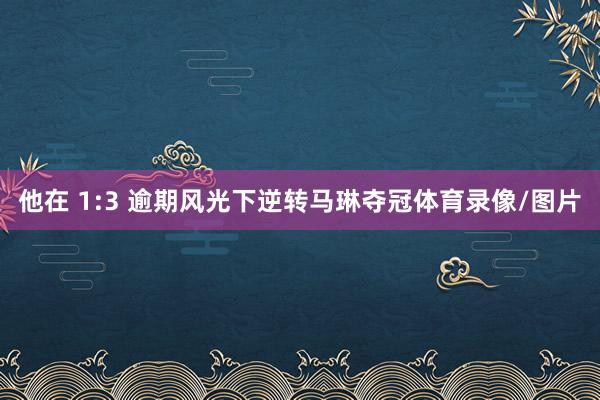 他在 1:3 逾期风光下逆转马琳夺冠体育录像/图片