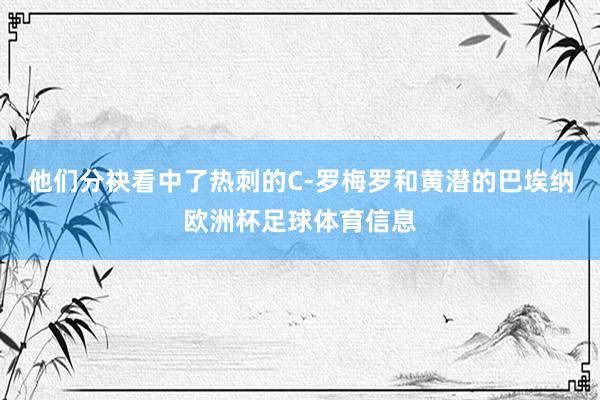 他们分袂看中了热刺的C-罗梅罗和黄潜的巴埃纳欧洲杯足球体育信息