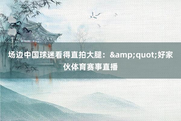 场边中国球迷看得直拍大腿：&quot;好家伙体育赛事直播