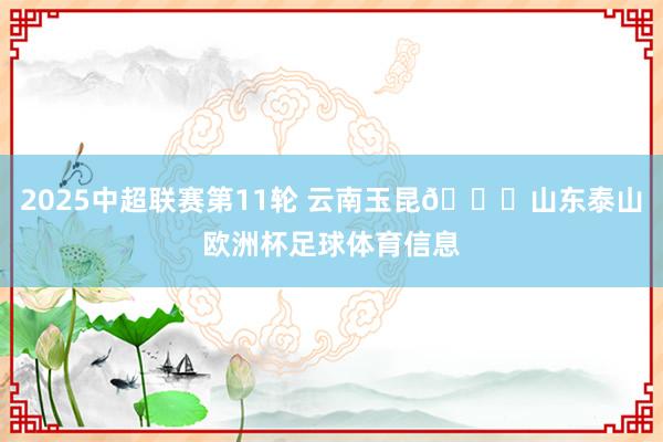 2025中超联赛第11轮 云南玉昆🆚山东泰山欧洲杯足球体育信息