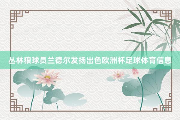 丛林狼球员兰德尔发扬出色欧洲杯足球体育信息