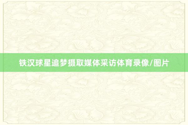 铁汉球星追梦摄取媒体采访体育录像/图片