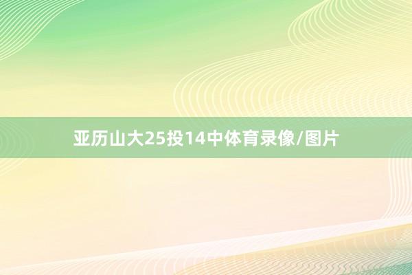 亚历山大25投14中体育录像/图片