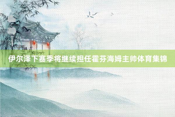 伊尔泽下赛季将继续担任霍芬海姆主帅体育集锦