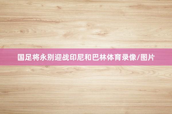 国足将永别迎战印尼和巴林体育录像/图片