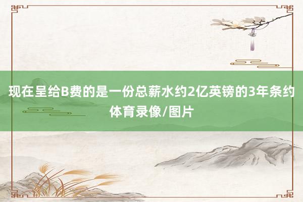 现在呈给B费的是一份总薪水约2亿英镑的3年条约体育录像/图片