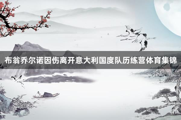 布翁乔尔诺因伤离开意大利国度队历练营体育集锦
