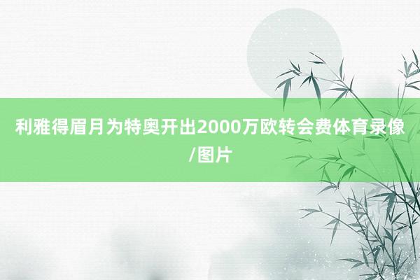 利雅得眉月为特奥开出2000万欧转会费体育录像/图片