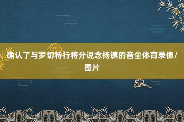 确认了与罗切特行将分说念扬镳的音尘体育录像/图片