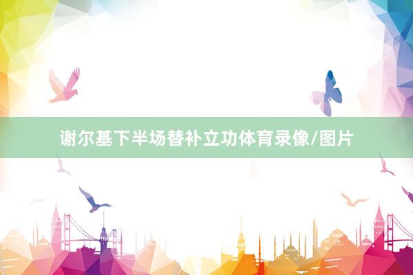 谢尔基下半场替补立功体育录像/图片