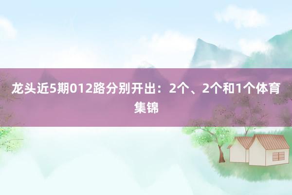 龙头近5期012路分别开出：2个、2个和1个体育集锦