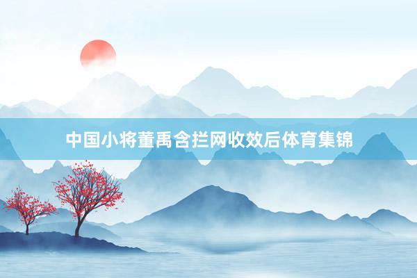 中国小将董禹含拦网收效后体育集锦