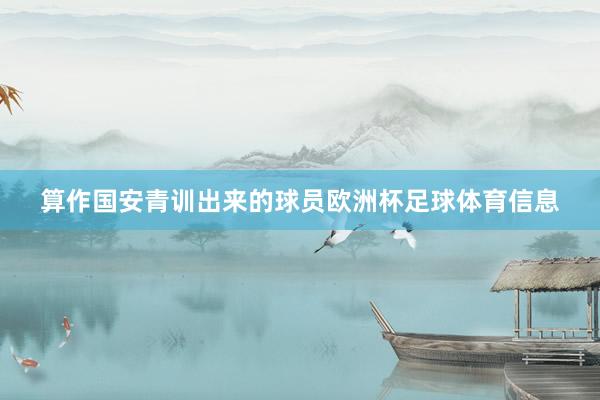 算作国安青训出来的球员欧洲杯足球体育信息