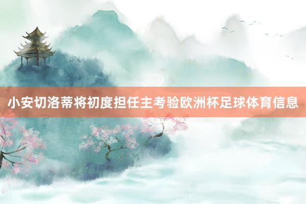 小安切洛蒂将初度担任主考验欧洲杯足球体育信息