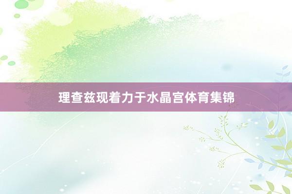 理查兹现着力于水晶宫体育集锦