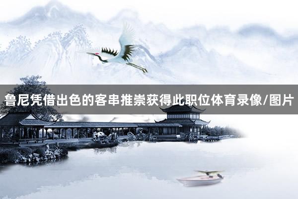 鲁尼凭借出色的客串推崇获得此职位体育录像/图片