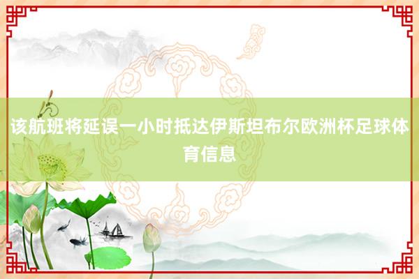 该航班将延误一小时抵达伊斯坦布尔欧洲杯足球体育信息