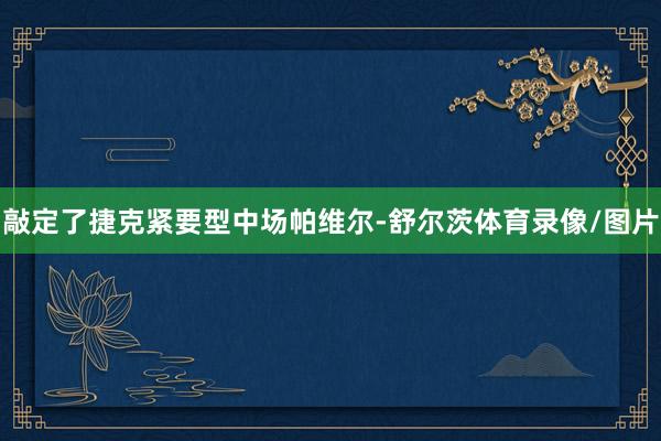 敲定了捷克紧要型中场帕维尔-舒尔茨体育录像/图片
