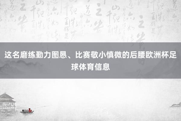 这名磨练勤力图恳、比赛敬小慎微的后腰欧洲杯足球体育信息