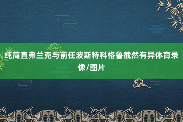 纯简直弗兰克与前任波斯特科格鲁截然有异体育录像/图片