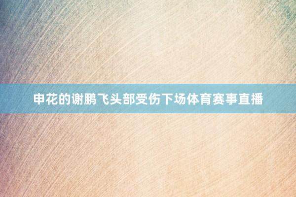 申花的谢鹏飞头部受伤下场体育赛事直播