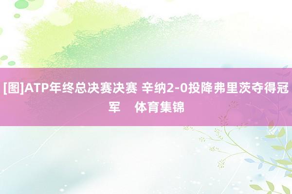[图]ATP年终总决赛决赛 辛纳2-0投降弗里茨夺得冠军    体育集锦