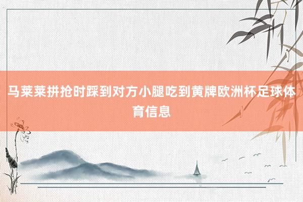 马莱莱拼抢时踩到对方小腿吃到黄牌欧洲杯足球体育信息