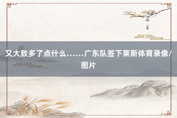 又大致多了点什么……广东队签下莱斯体育录像/图片