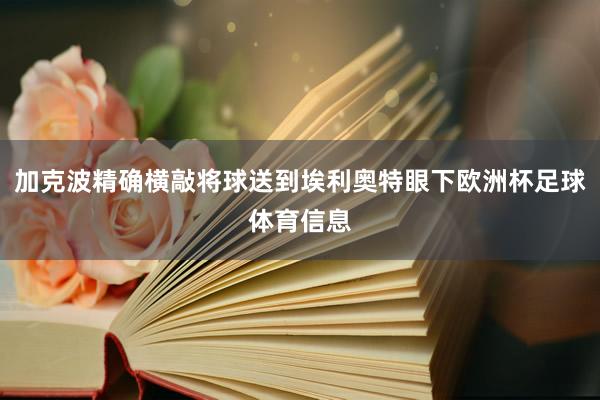 加克波精确横敲将球送到埃利奥特眼下欧洲杯足球体育信息