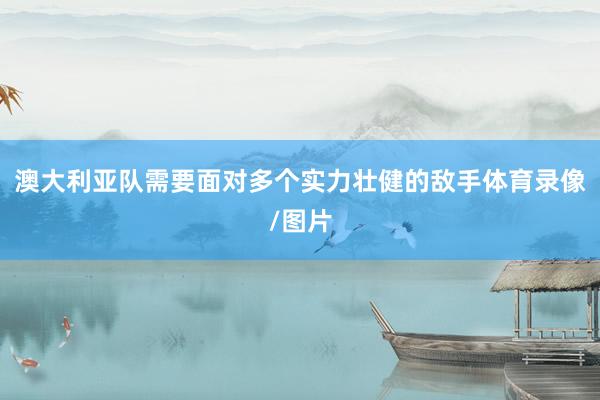 澳大利亚队需要面对多个实力壮健的敌手体育录像/图片