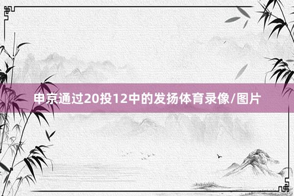 申京通过20投12中的发扬体育录像/图片