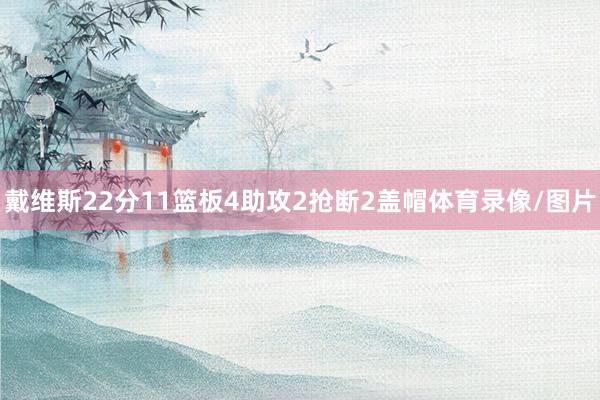 戴维斯22分11篮板4助攻2抢断2盖帽体育录像/图片