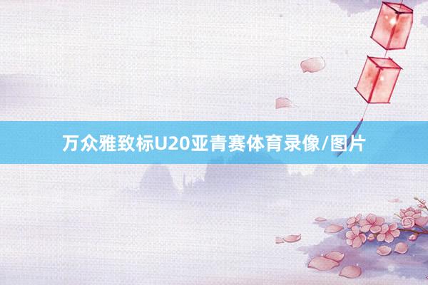 万众雅致标U20亚青赛体育录像/图片