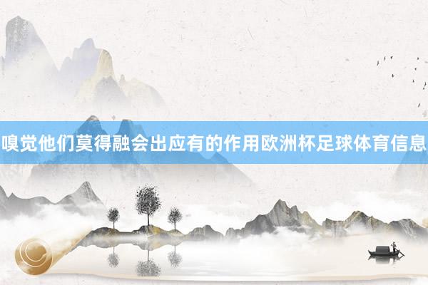 嗅觉他们莫得融会出应有的作用欧洲杯足球体育信息
