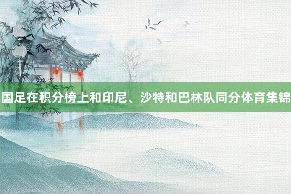 国足在积分榜上和印尼、沙特和巴林队同分体育集锦