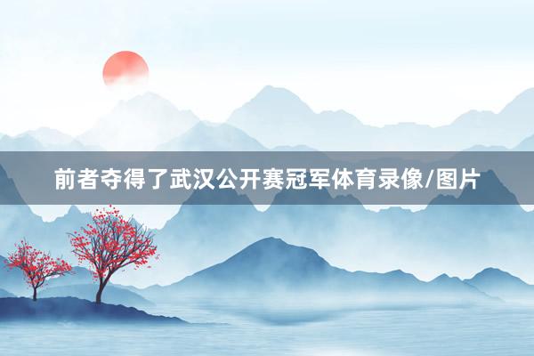 前者夺得了武汉公开赛冠军体育录像/图片